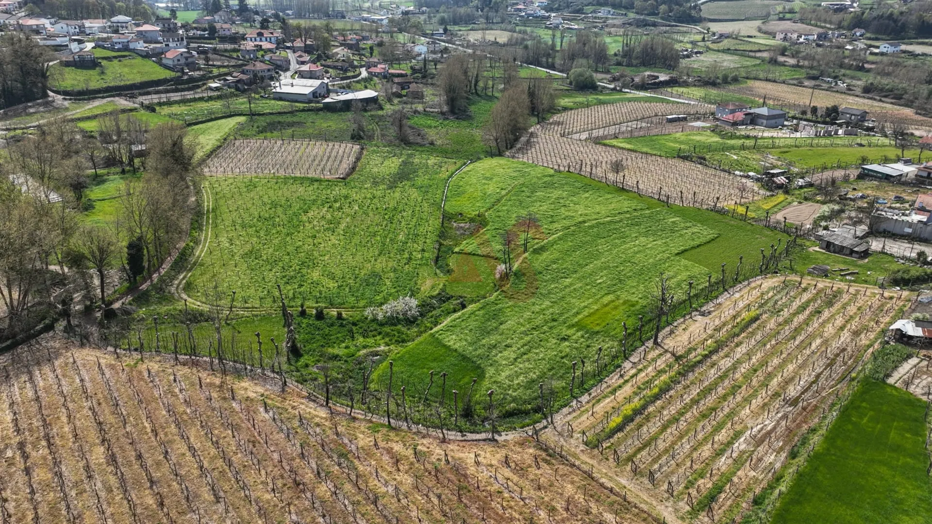 Terreno Rstico T0 - Pedreira, Felgueiras, Porto - Miniatura: 5/9