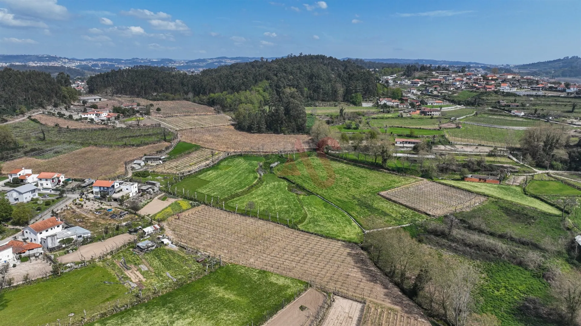 Terreno Rstico T0 - Pedreira, Felgueiras, Porto - Miniatura: 6/9