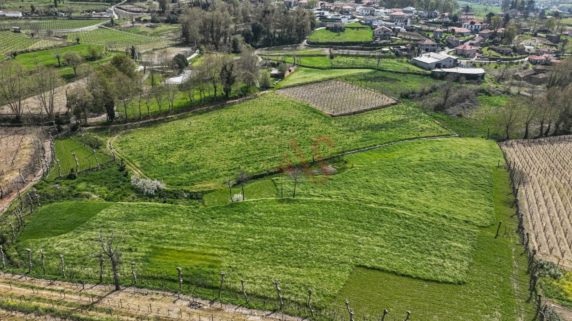 Terreno Rstico T0 - Pedreira, Felgueiras, Porto - Miniatura: 7/9