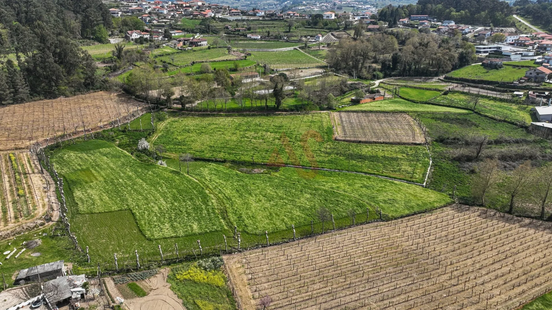 Terreno Rstico T0 - Pedreira, Felgueiras, Porto - Miniatura: 8/9