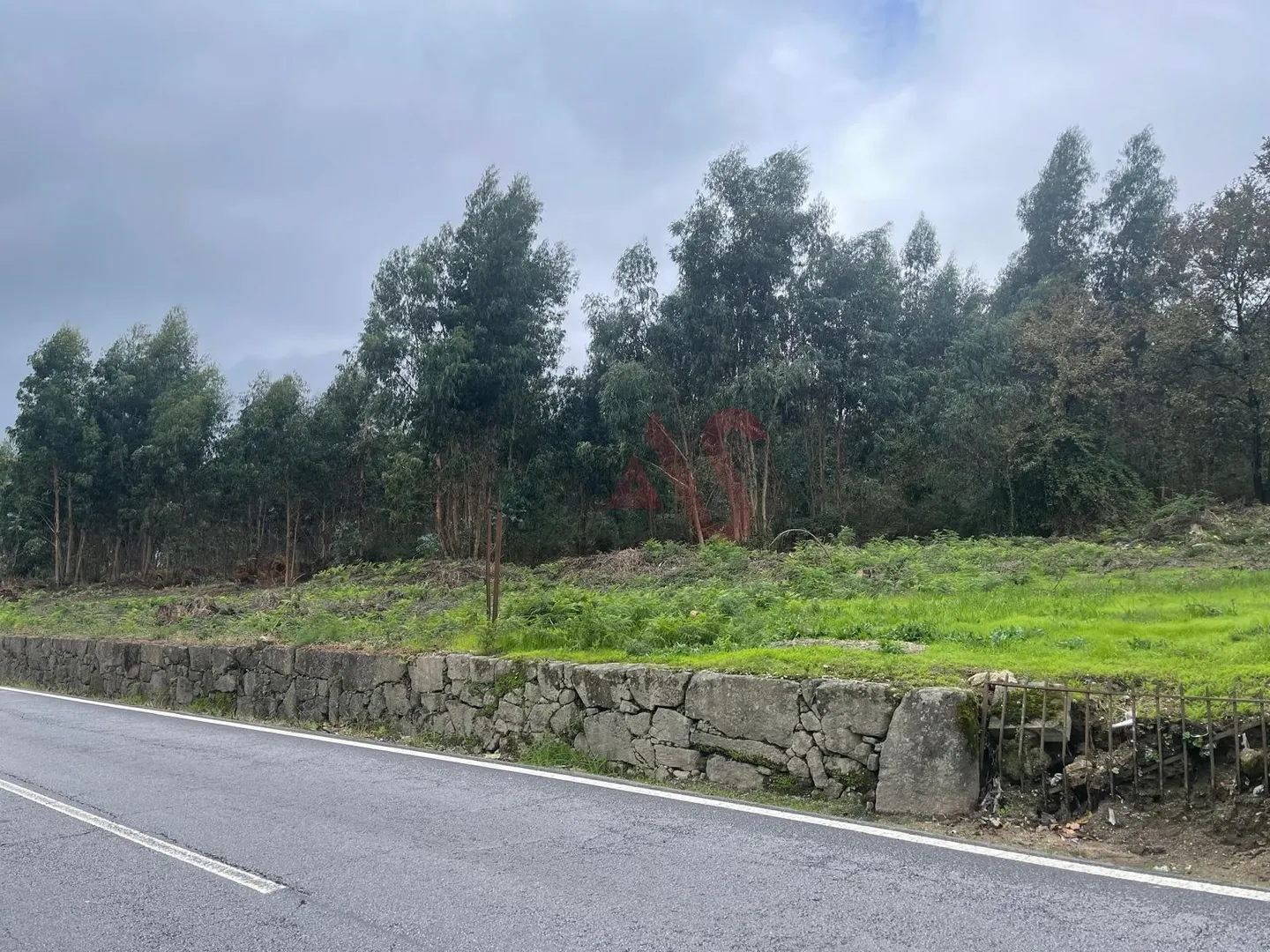 Terreno Rstico T0 - Nespereira, Lousada, Porto - Miniatura: 1/9