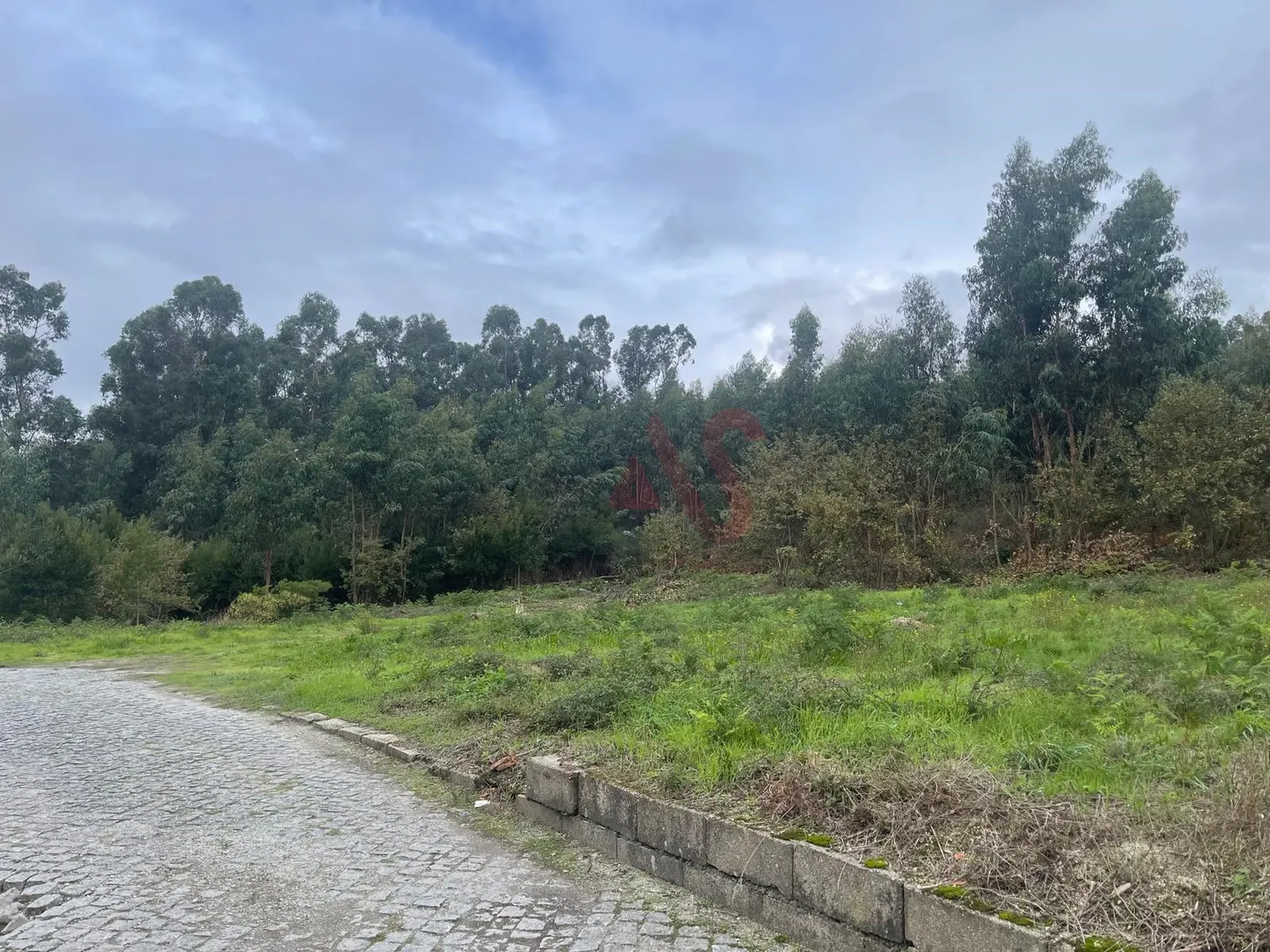 Terreno Rstico T0 - Nespereira, Lousada, Porto - Miniatura: 7/9