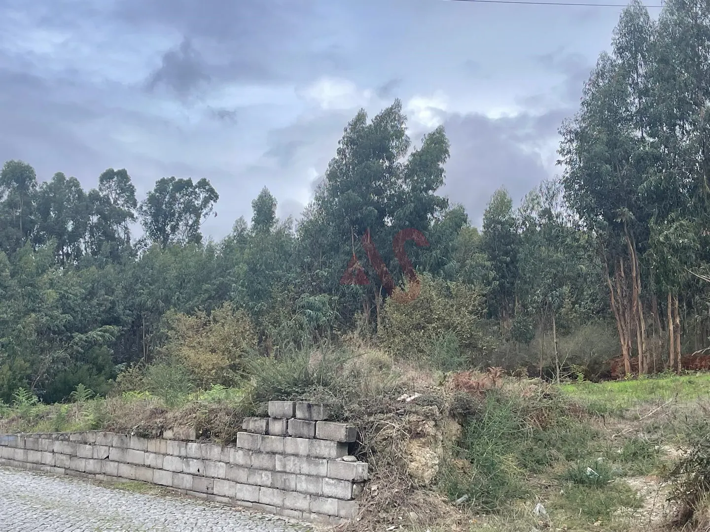 Terreno Rstico T0 - Nespereira, Lousada, Porto - Miniatura: 8/9