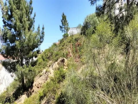 Terreno Urbano T0 - Marvila, Santarm, Santarm - Miniatura: 8/9