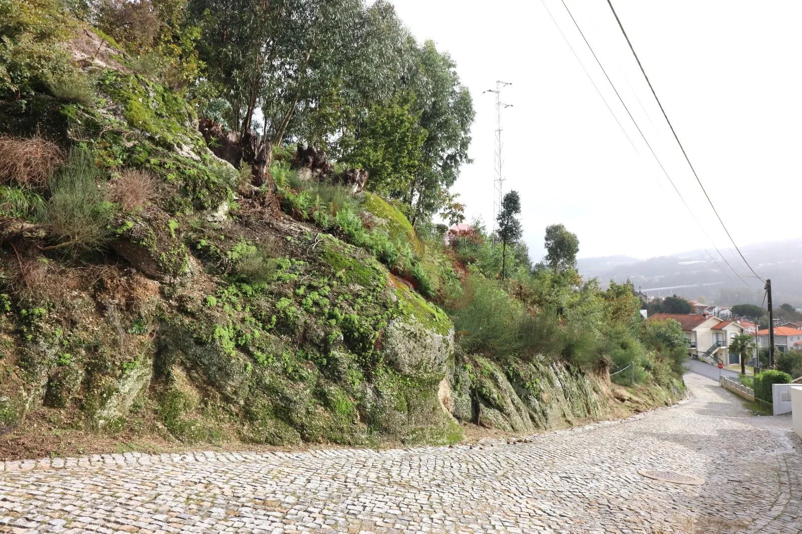 Terreno Rstico T0 - Tagilde, Vizela, Braga - Miniatura: 1/9
