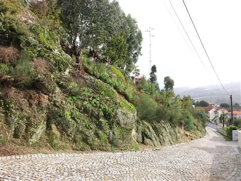 Terreno Rstico T0 - Tagilde, Vizela, Braga - Miniatura: 5/9