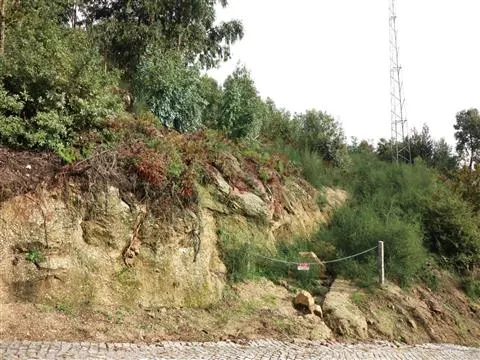 Terreno Rstico T0 - Tagilde, Vizela, Braga - Miniatura: 6/9
