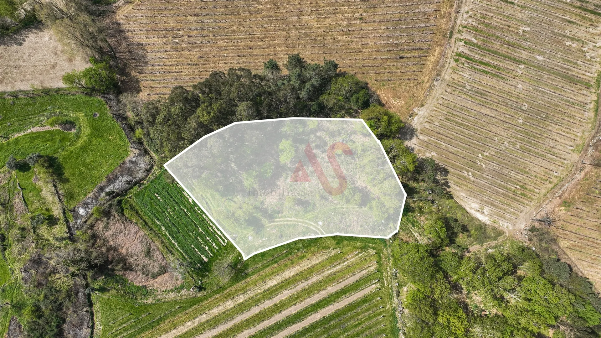 Terreno Rstico T0 - Pedreira, Felgueiras, Porto