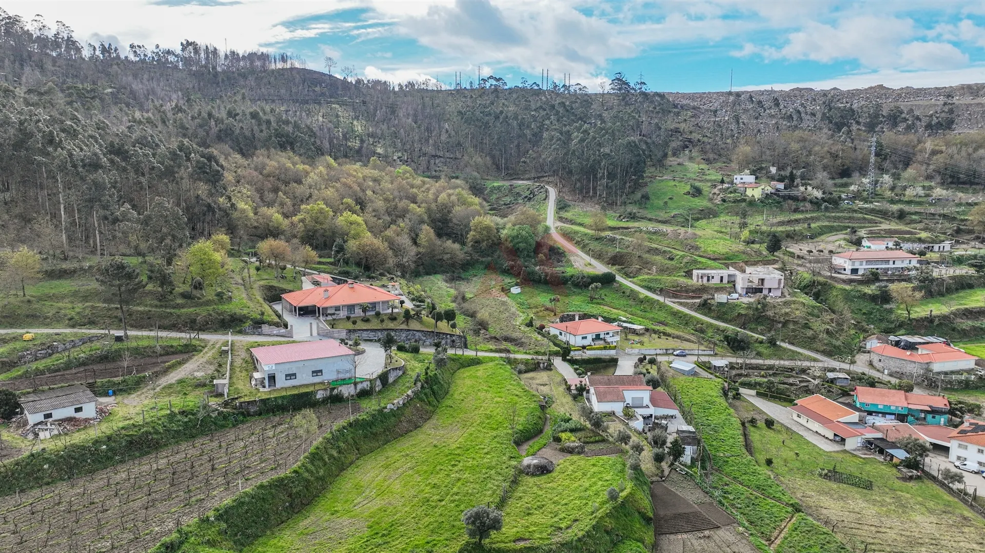 Terreno Rstico T0 - Penacova, Felgueiras, Porto - Miniatura: 2/9