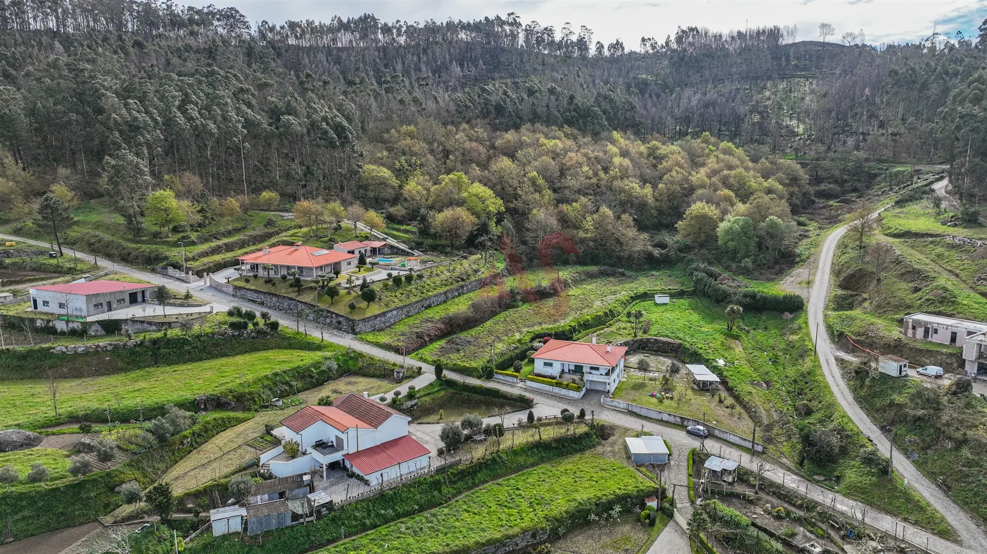 Terreno Rstico T0 - Penacova, Felgueiras, Porto - Miniatura: 3/9