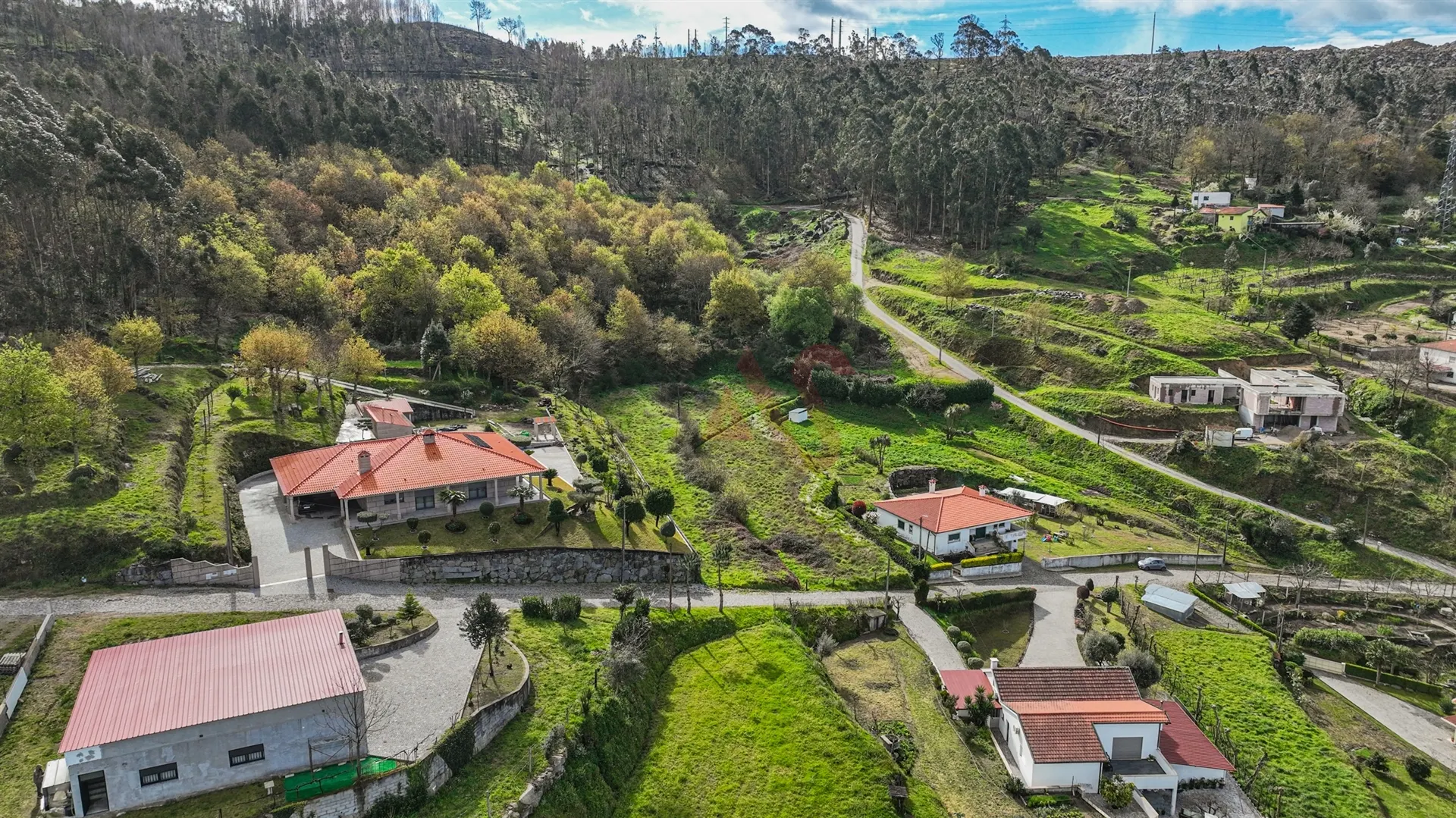 Terreno Rstico T0 - Penacova, Felgueiras, Porto - Miniatura: 4/9
