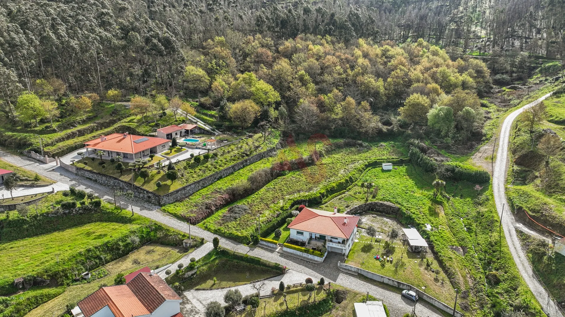 Terreno Rstico T0 - Penacova, Felgueiras, Porto - Miniatura: 5/9