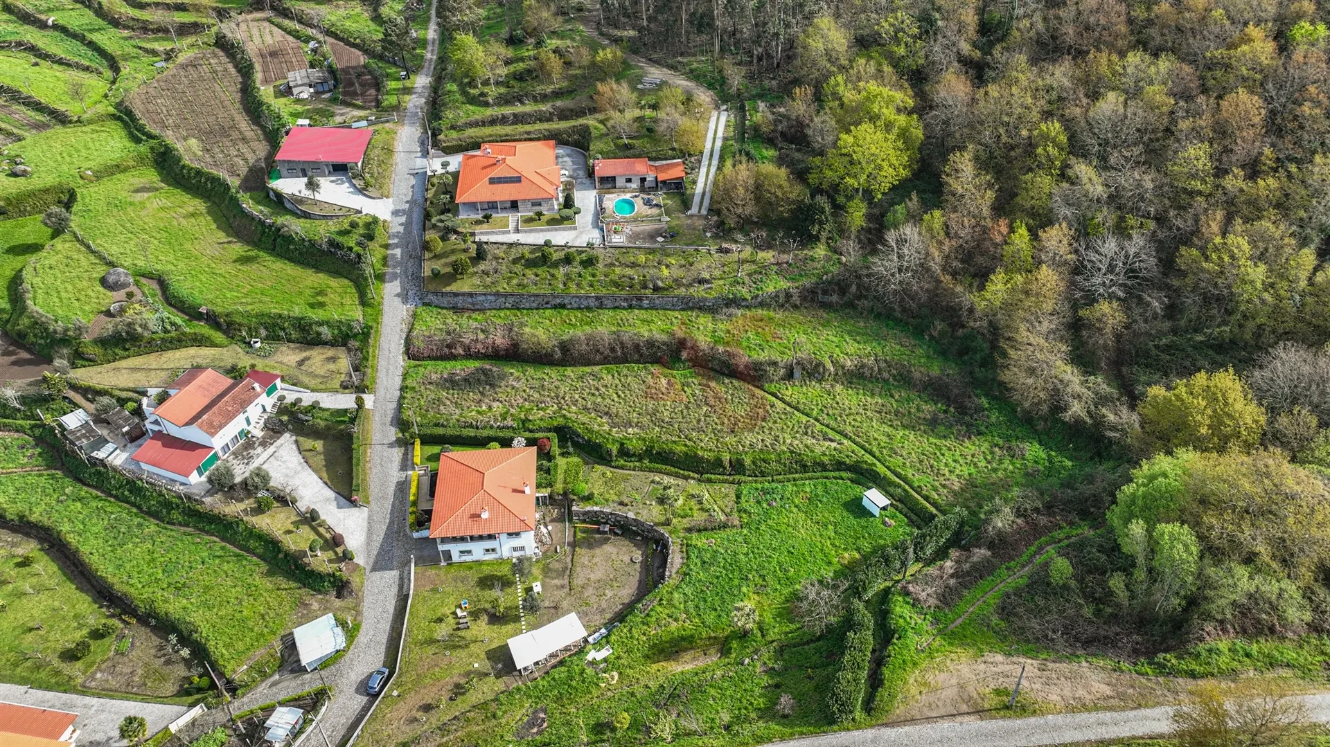 Terreno Rstico T0 - Penacova, Felgueiras, Porto - Miniatura: 8/9