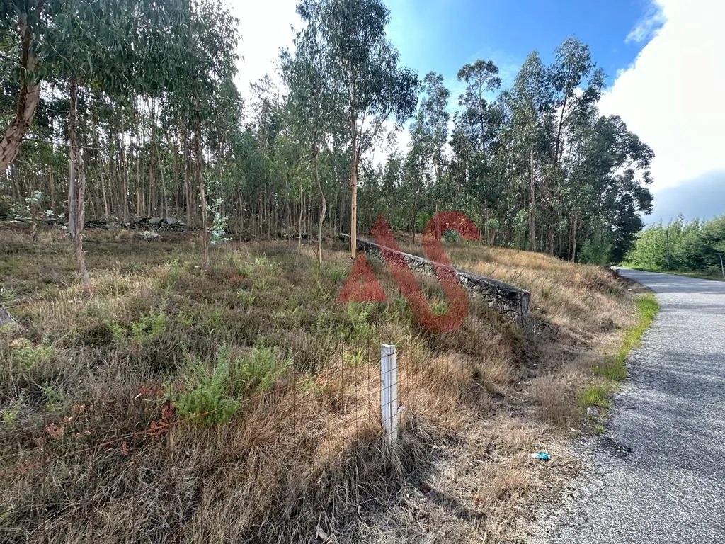 Terreno Rstico T0 - Sande So Loureno e Balazar, Guimares, Braga - Miniatura: 2/9