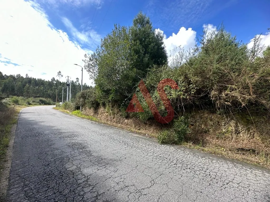 Terreno Rstico T0 - Sande So Loureno e Balazar, Guimares, Braga - Miniatura: 3/9