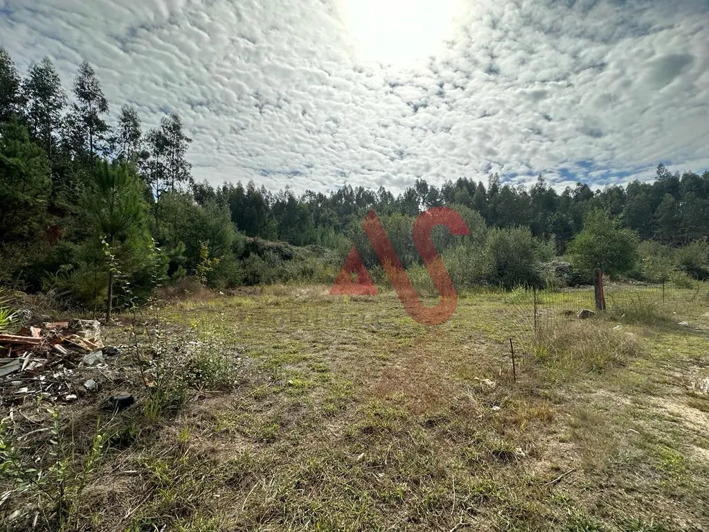 Terreno Rstico T0 - Sande So Loureno e Balazar, Guimares, Braga - Miniatura: 4/9