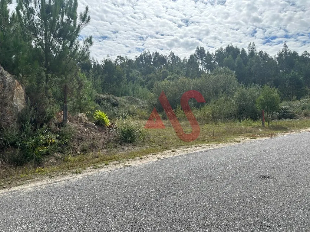Terreno Rstico T0 - Sande So Loureno e Balazar, Guimares, Braga - Miniatura: 5/9
