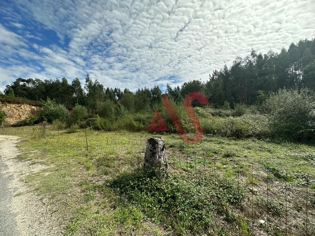 Terreno Rstico T0 - Sande So Loureno e Balazar, Guimares, Braga - Miniatura: 7/9