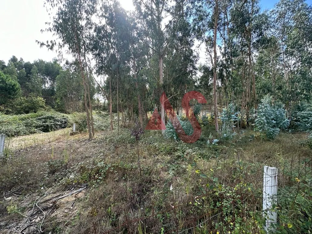 Terreno Rstico T0 - Sande So Loureno e Balazar, Guimares, Braga - Miniatura: 8/9