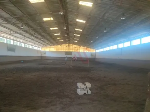 Quinta T5 - Fermentes, Guimares, Braga - Miniatura: 8/9