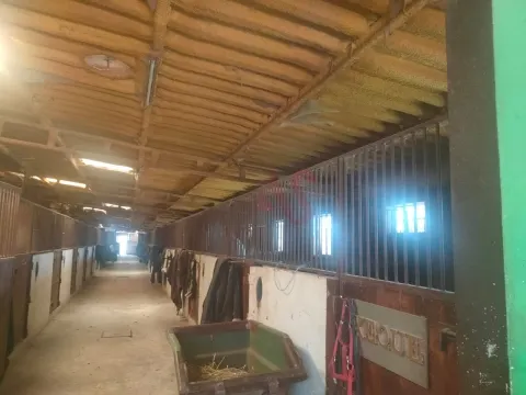 Quinta T5 - Fermentes, Guimares, Braga - Miniatura: 9/9