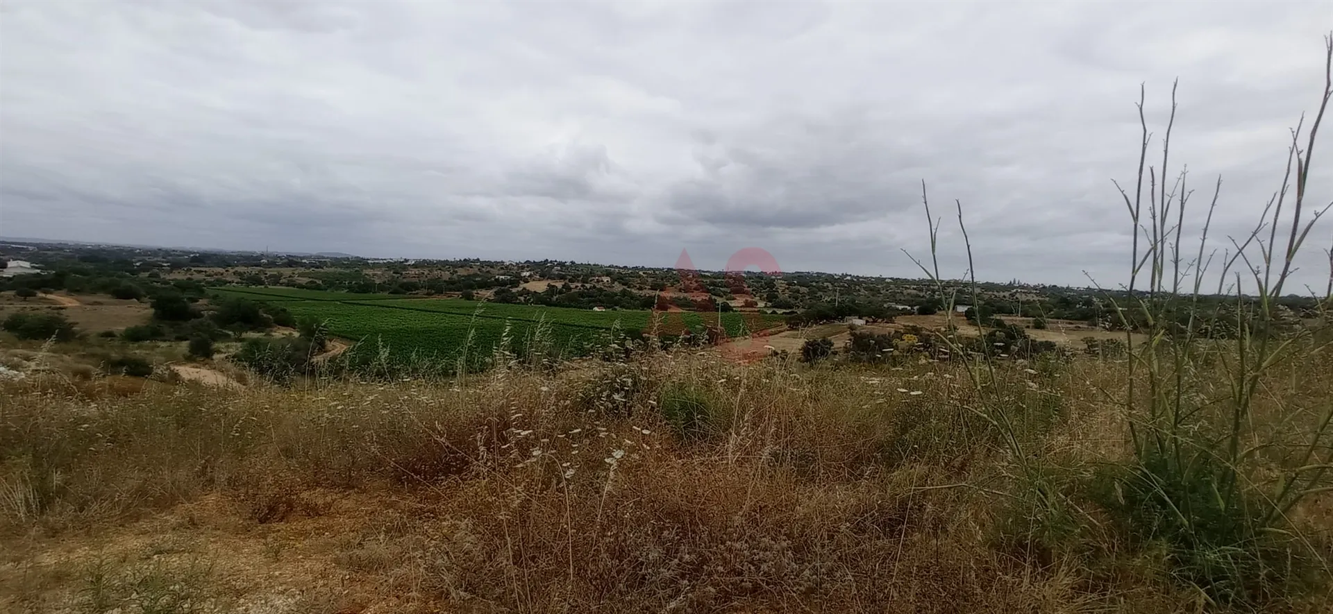 Terreno Rstico - Guia-ALB, Albufeira, Faro (Algarve) - Miniatura: 5/9