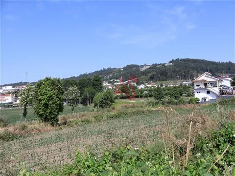 Terreno Urbano T0 - Cristelos, Lousada, Porto - Miniatura: 4/9