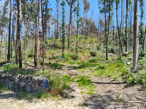 Terreno Rstico T0 - Ardego, Fafe, Braga - Miniatura: 6/9