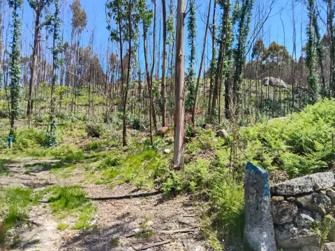Terreno Rstico T0 - Ardego, Fafe, Braga - Miniatura: 7/9