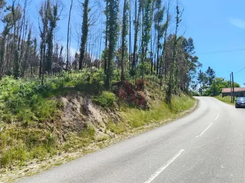 Terreno Rstico T0 - Ardego, Fafe, Braga - Miniatura: 5/9