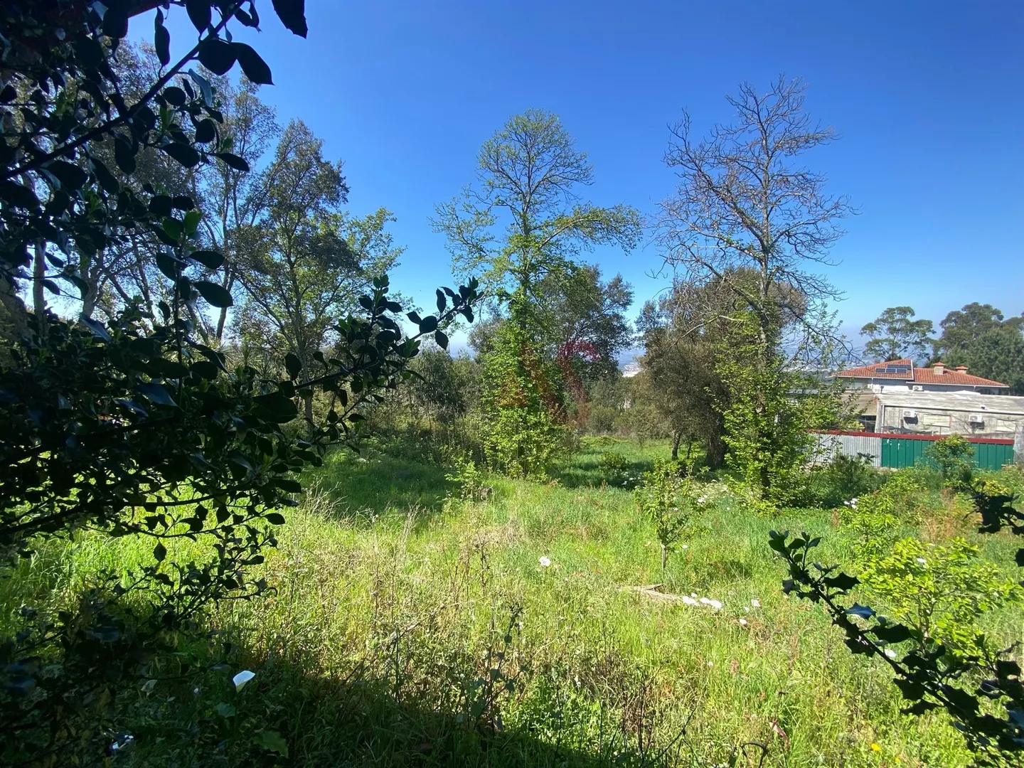 Quinta T3 - Lamelas, Santo Tirso, Porto - Miniatura: 5/9