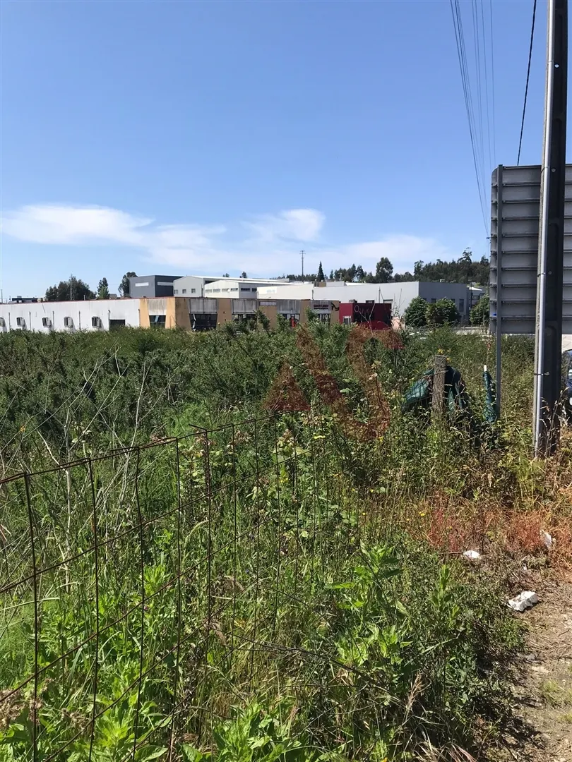 Terreno Urbano T0 - Revinhade, Felgueiras, Porto - Miniatura: 3/9