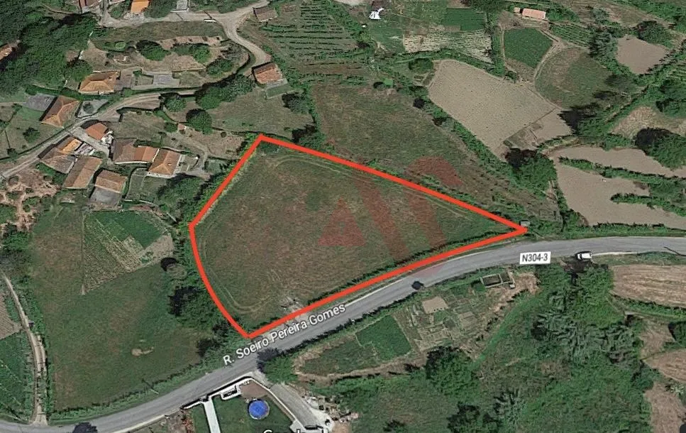 Terreno Rstico T0 - Gesta, Baio, Porto - Miniatura: 1/9