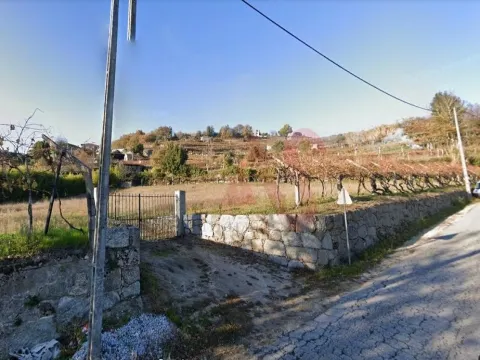 Terreno Rstico T0 - Gesta, Baio, Porto - Miniatura: 2/9