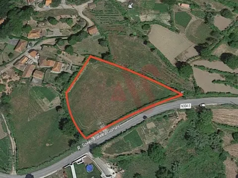 Terreno Rstico T0 - Gesta, Baio, Porto - Miniatura: 3/9