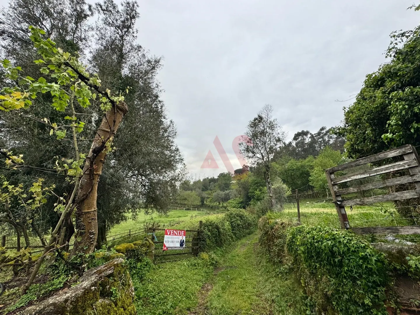 Terreno R�stico T0 - Pinheiro, Vieira do Minho, Braga - Imagem grande