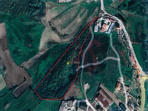 Terreno Rstico T0 - Sousela, Lousada, Porto - Miniatura: 6/9