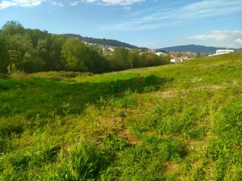 Terreno Rstico T0 - Sousela, Lousada, Porto - Miniatura: 8/9
