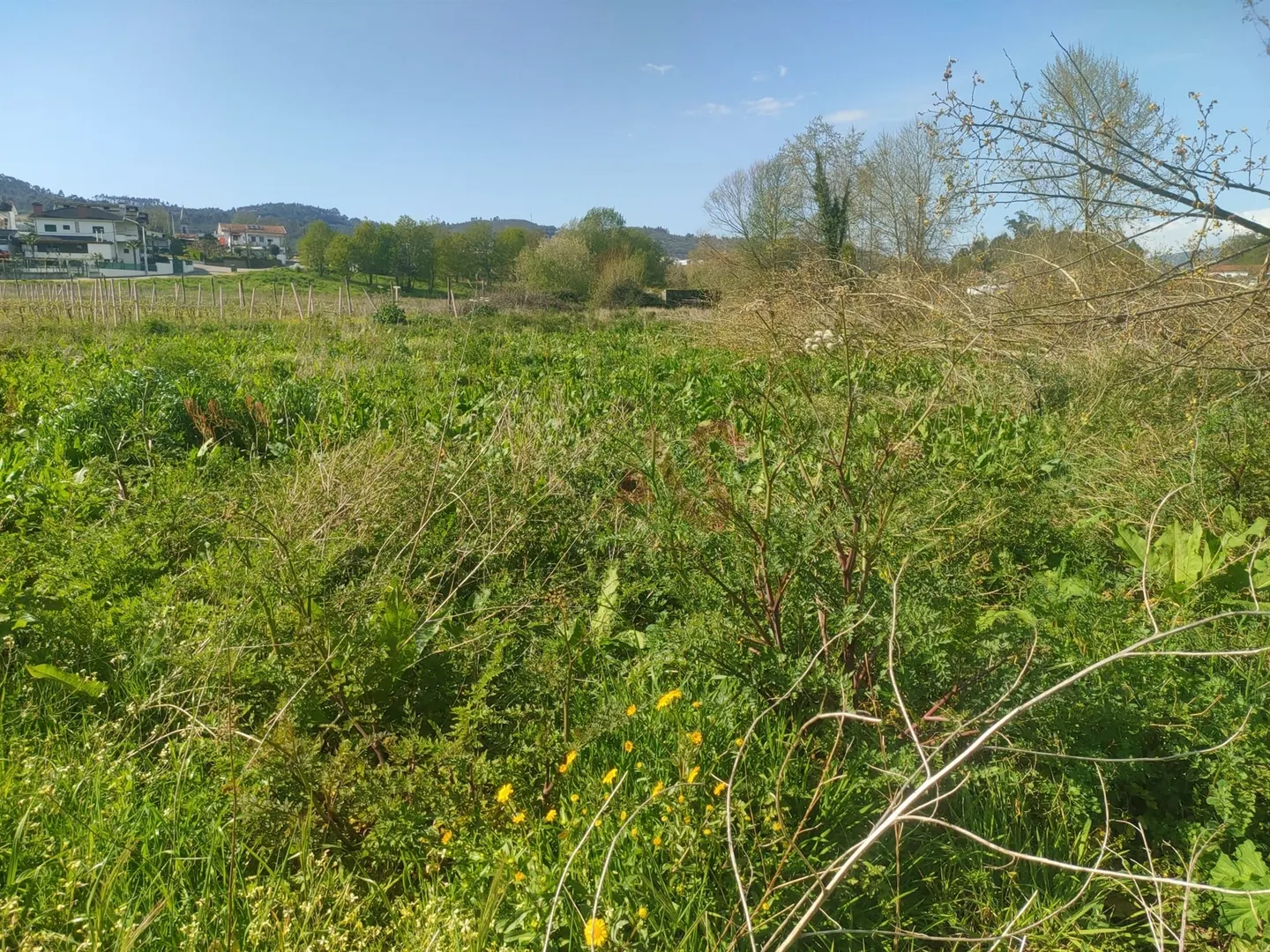 Terreno Rstico T0 - Nevogilde, Lousada, Porto - Miniatura: 3/9