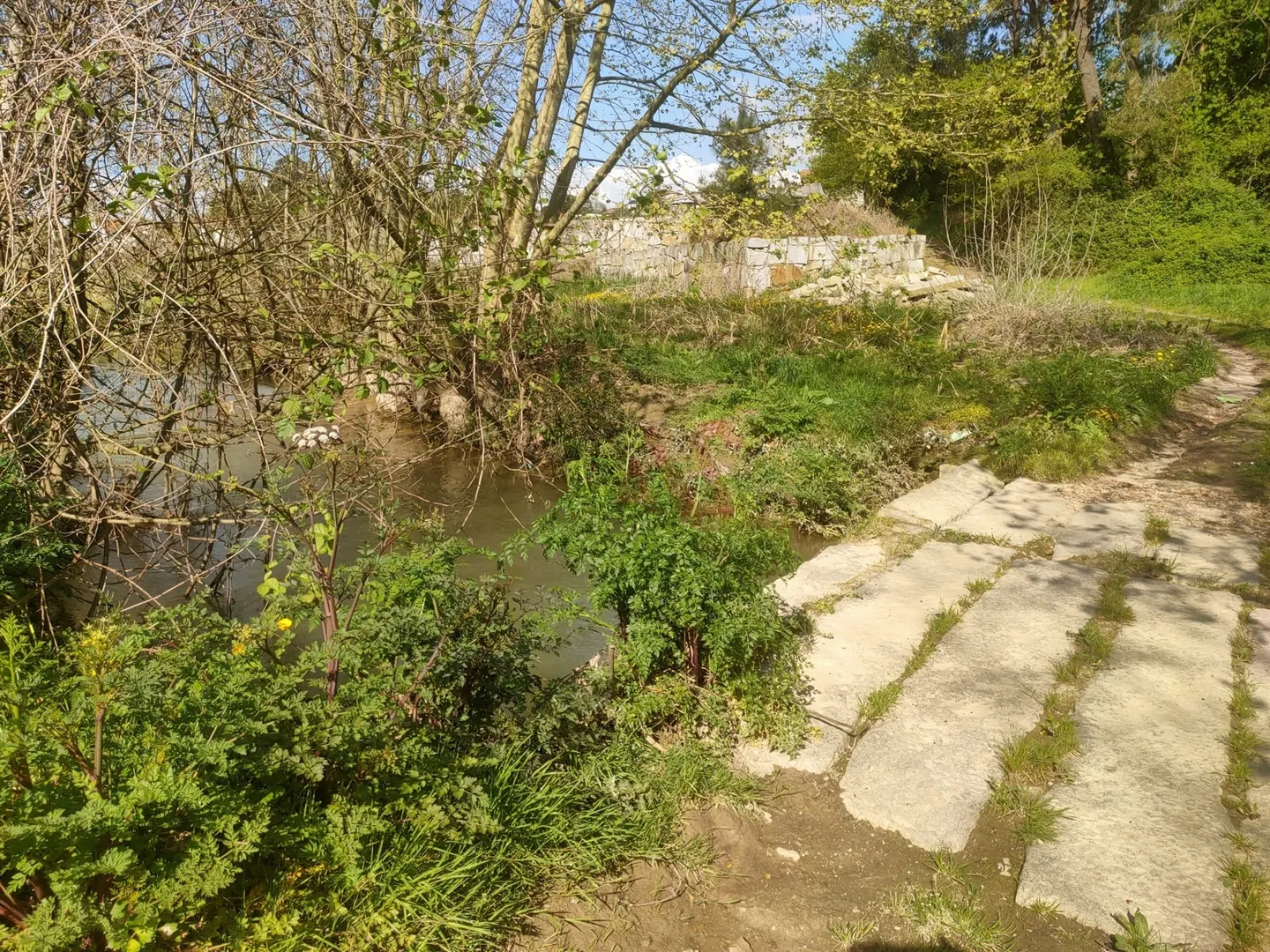 Terreno Rstico T0 - Nevogilde, Lousada, Porto - Miniatura: 4/9
