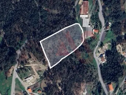 Terreno Rstico T0 - Sousela, Lousada, Porto - Miniatura: 5/9