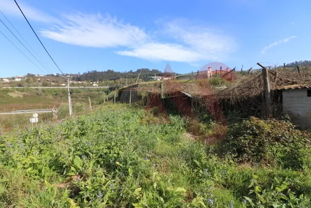 Quinta T4 - Regilde, Felgueiras, Porto - Miniatura: 6/9