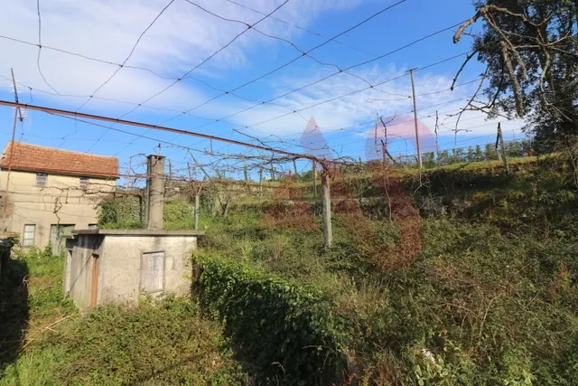 Quinta T4 - Regilde, Felgueiras, Porto - Miniatura: 8/9