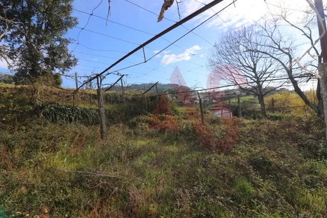 Quinta T4 - Regilde, Felgueiras, Porto - Miniatura: 9/9