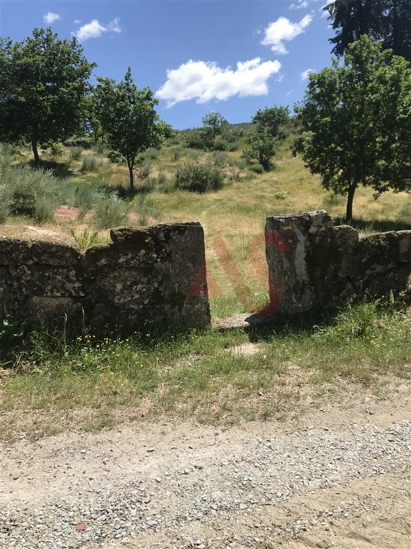 Terreno Rstico T0 - Soalhes, Marco de Canaveses, Porto - Miniatura: 2/9