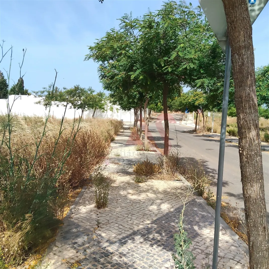 Terreno Urbano T0 - Guia-ALB, Albufeira, Faro (Algarve) - Miniatura: 5/9