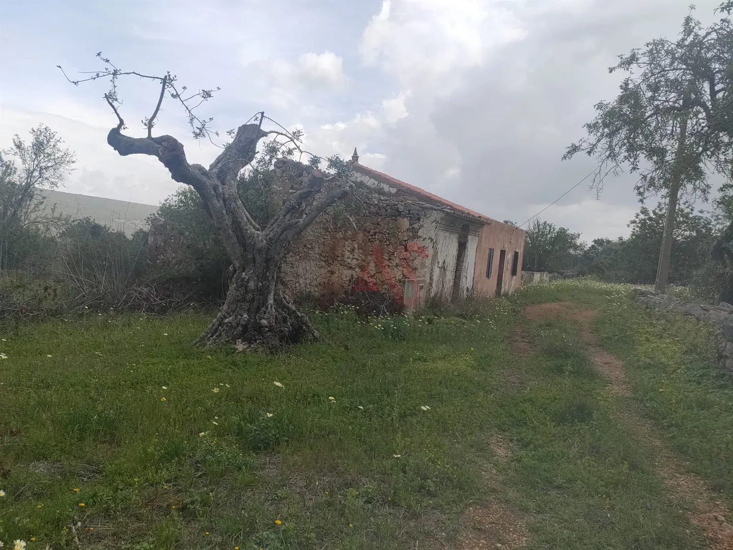 Moradia T0 - Salir, Loul, Faro (Algarve)