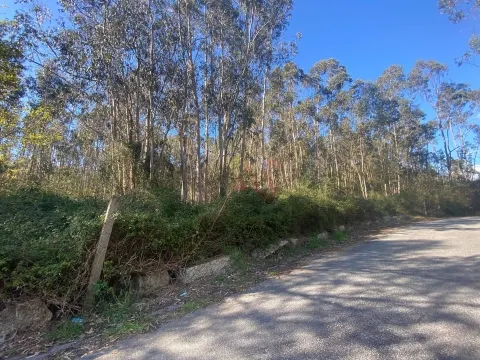 Terreno Rstico T0 - Sousela, Lousada, Porto - Miniatura: 4/9
