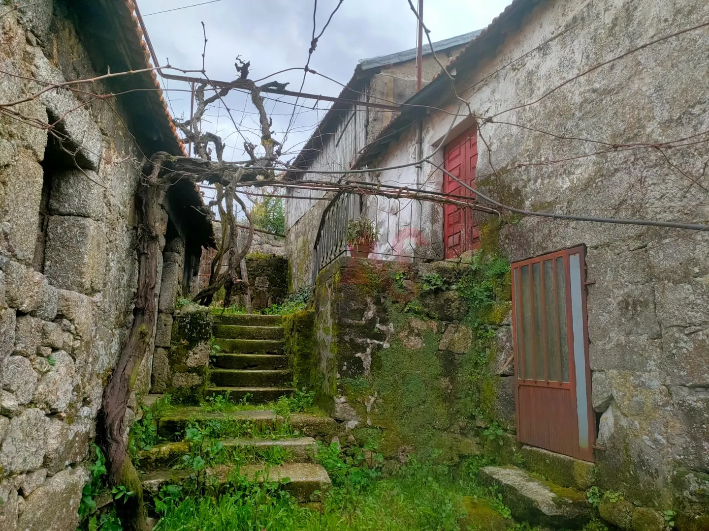 Quinta T2 - Nevogilde, Lousada, Porto - Miniatura: 2/9
