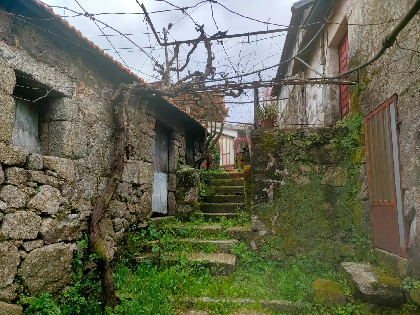 Quinta T2 - Nevogilde, Lousada, Porto - Miniatura: 3/9